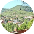 Torcuato